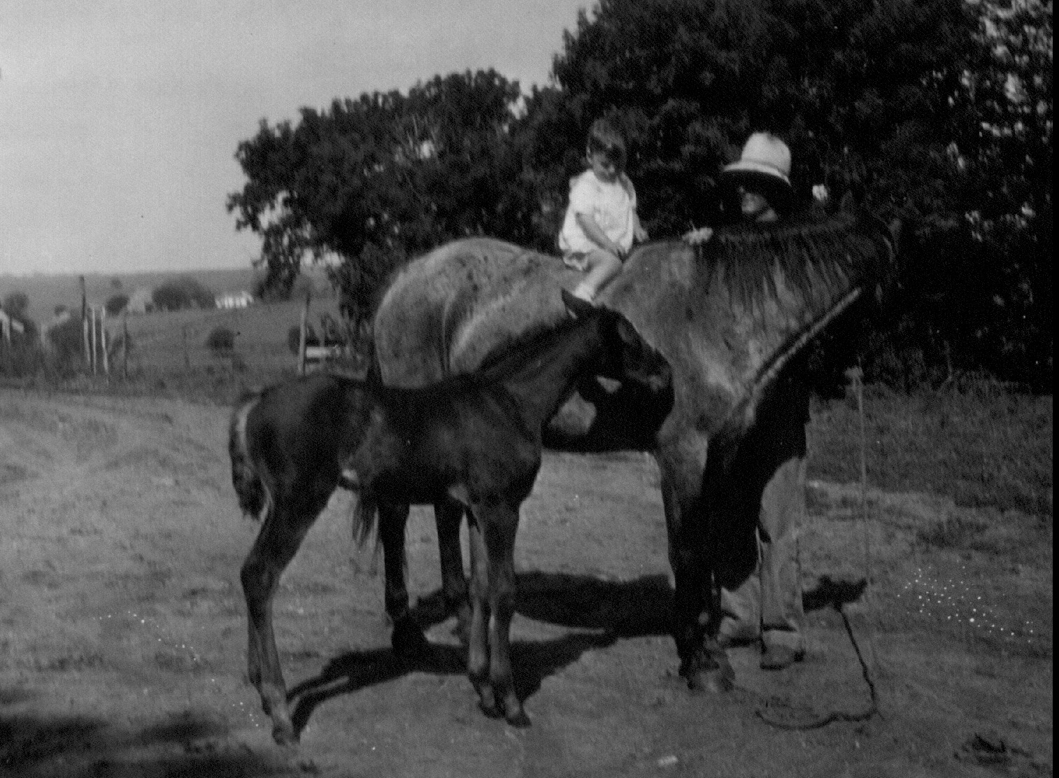 Schmid_and_Dad_on_farm_1935_Nebraska