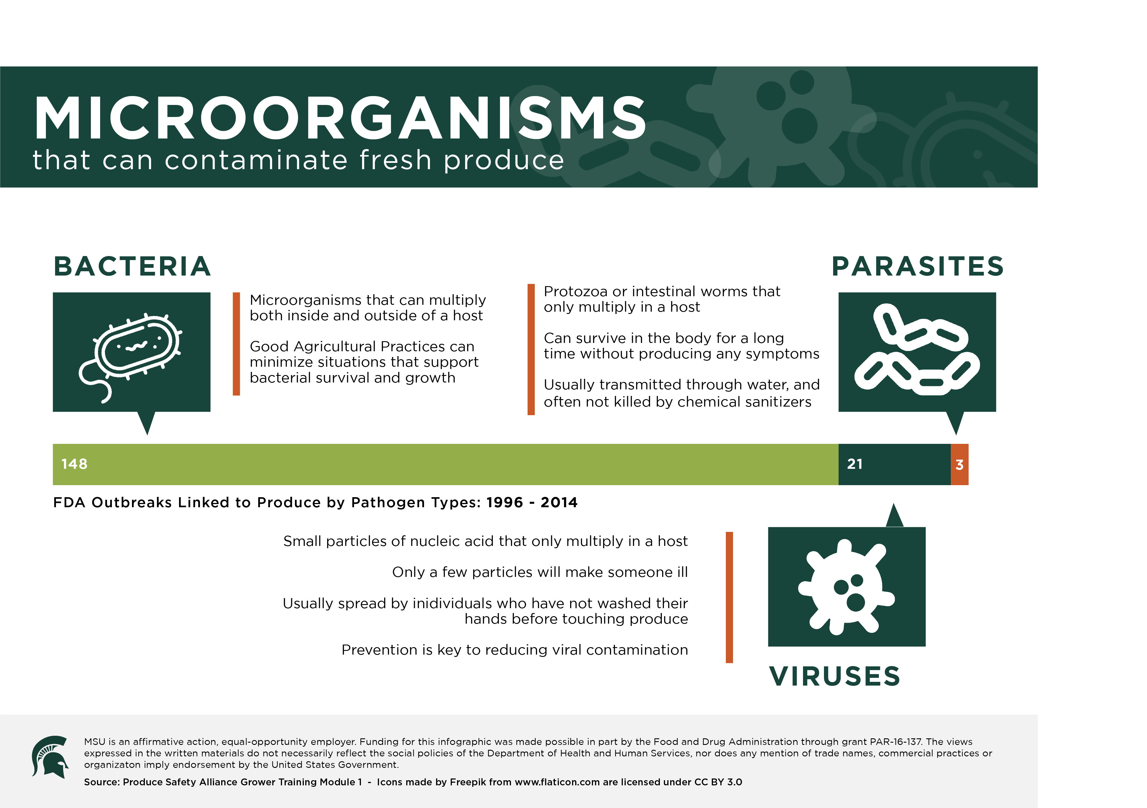 Microorganisms Infographic