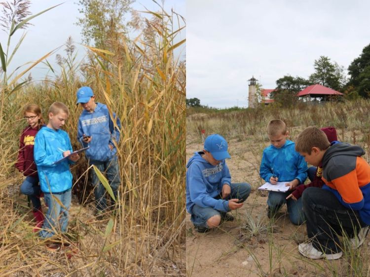 Au Gres-Sims Elementary students collect scientific data to monitor populations of both invasive phragmites (left) and federally threatened pitcher’s thistle plants (right).  Photo: Brandon Schroeder | Michigan Sea Grant.