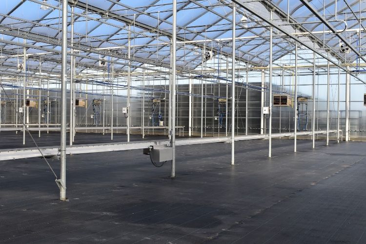 Conveyors in a greenhouse