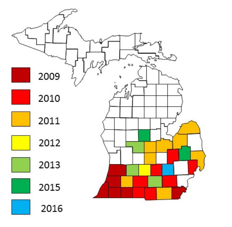 Soybean sudden death syndrome distribution in Michigan.