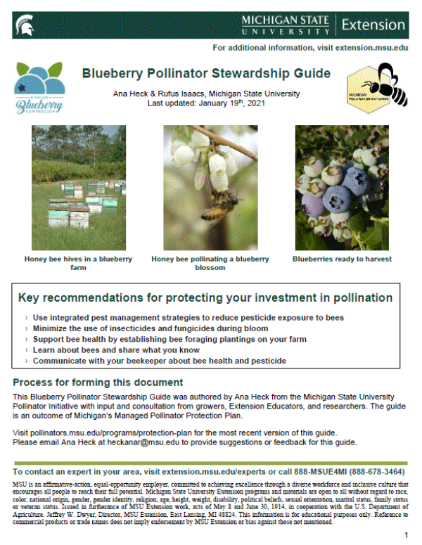 cover page of the blueberry pollinator stewardship guide