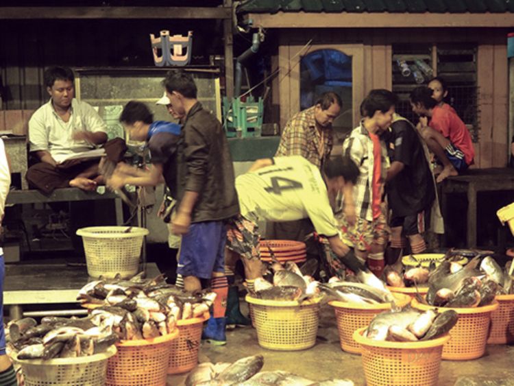 Fish wholesale market in Yangon, Myanmar (Photo: Ben Belton, 2017)
