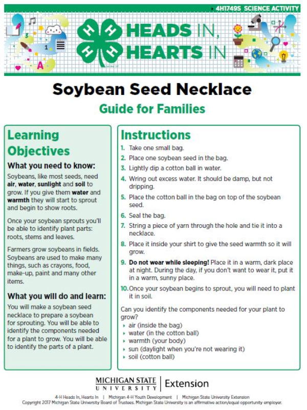 Soybean Seed Necklace cover page.