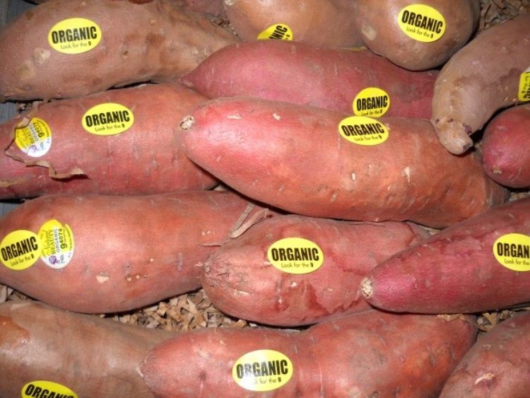 Organic potatoes.