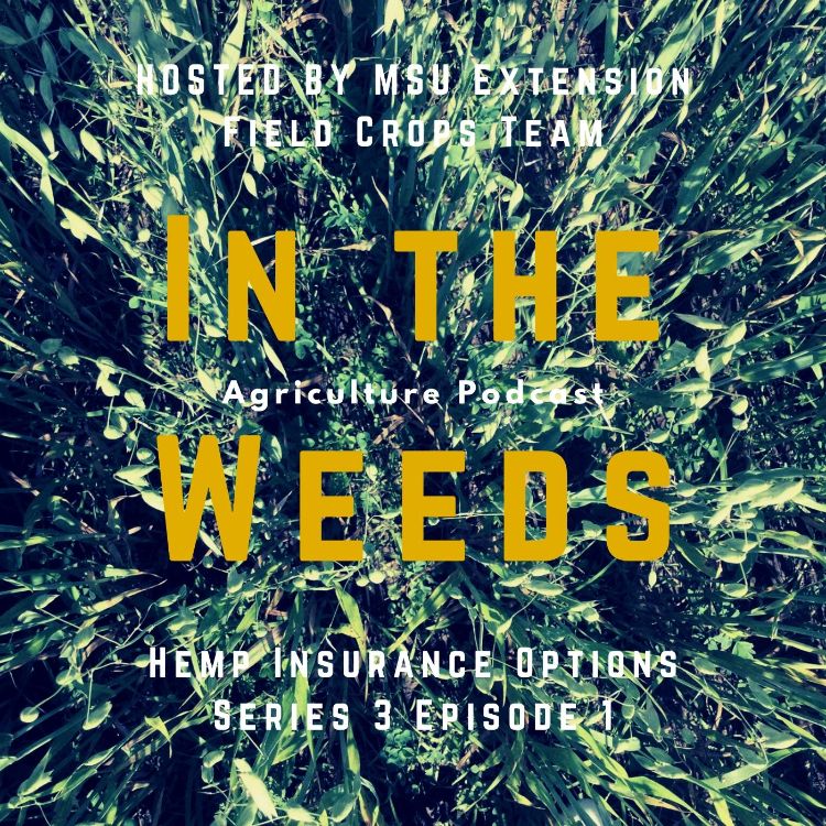 In the Weeds graphic promo