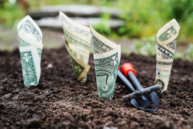 dollar bills and garden tool in soil pixabay.com