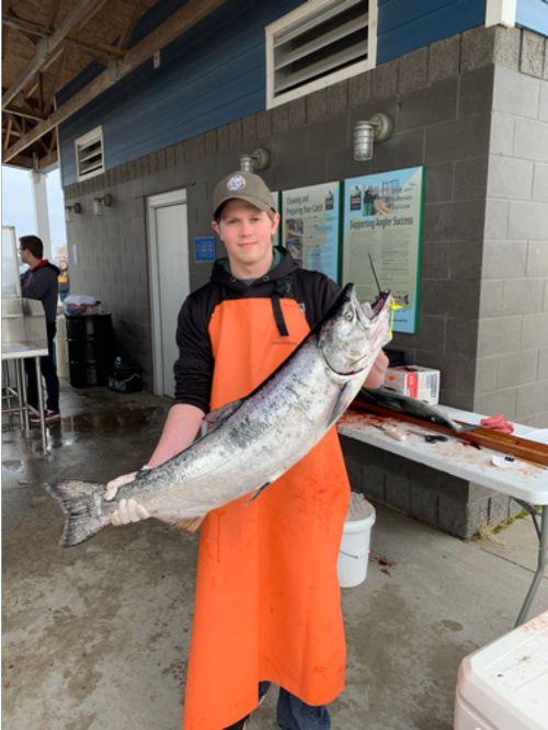 A man Jordan Andrus holds a large chinook salmon this year. He will process it to remove the stomach for the prey fish diet study.