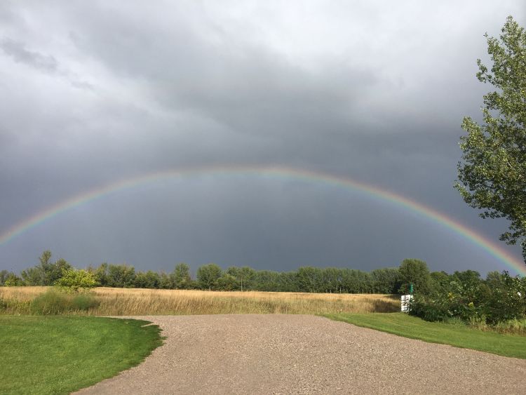 A rainbow added to the beauty of harvest this week in Northwest Michigan. Photo credit: Nikki Rothwell, MSU.