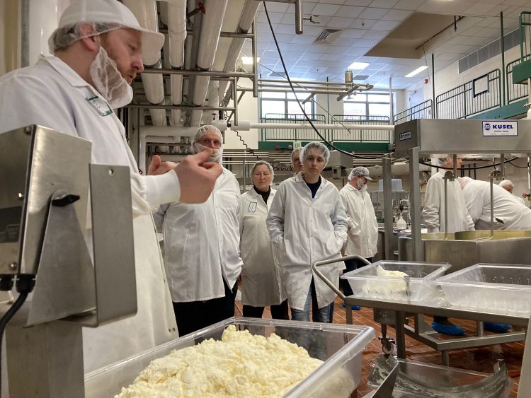 people looking into a vat of cheese