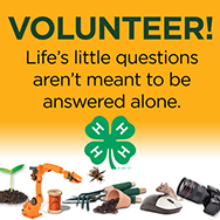 Think about becoming a 4-H volunteer today! | MSU Extension