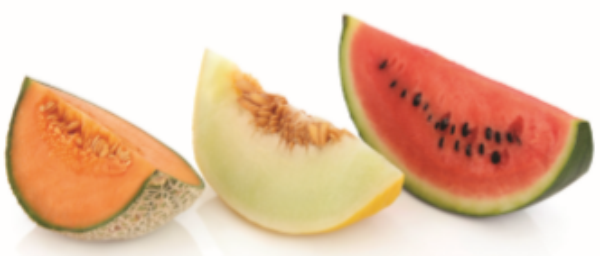 A picture of watermelon, cantaloupe, and honeydew