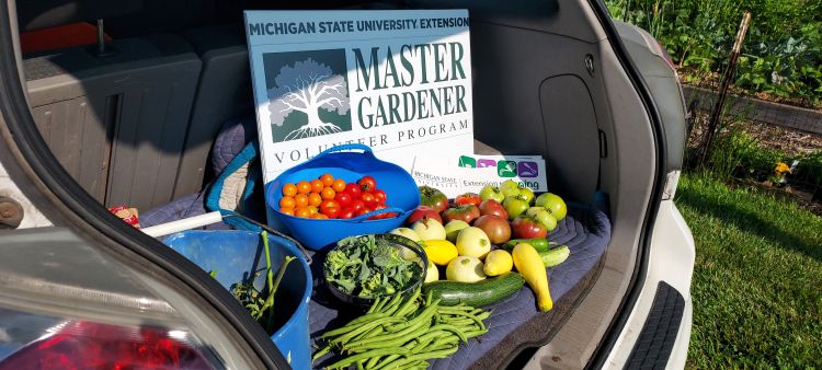 A trunk filled with fresh produce and a sign that says Michigan State University Extension Master Gardener Volunteer Program.