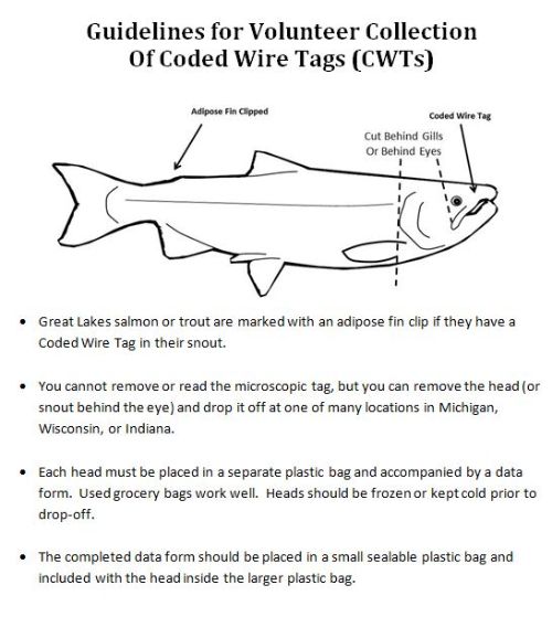 Guidelines for Volunteer Collection of Coded Wire Tags (CWT).