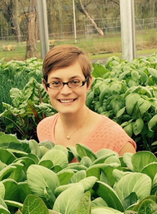 Rachel Chadderdon Bair is the Director for Sustainable and Innovative Food Systems at KVCC.