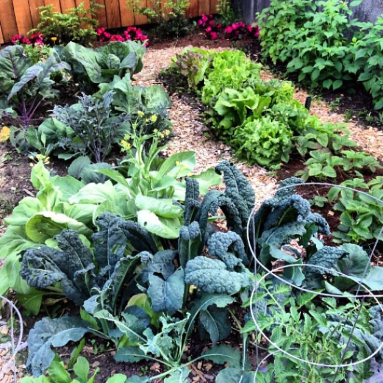 Learn about smart gardening practices and more at the 2015 Garden Extravaganza Conference in Marquette. Photo credit: The_April, Flickr.com