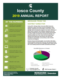 Iosco County Annual Report 2019 Cover