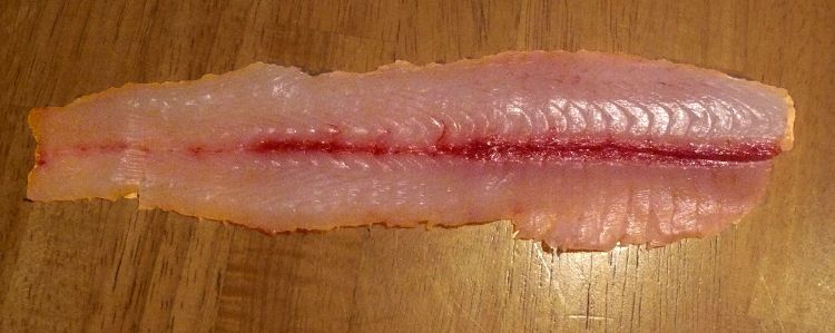 Silver carp filets are bony but have a mild flavor. | Michigan Sea Grant