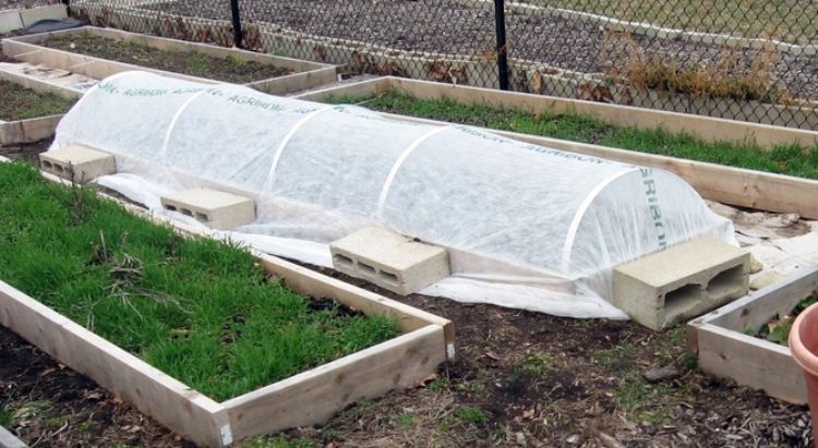 A lightweight row cover secured over a raised bed. Photo credit: Mark the Trigeek, Flickr.com