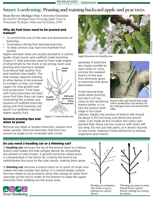 Smart gardening pdf