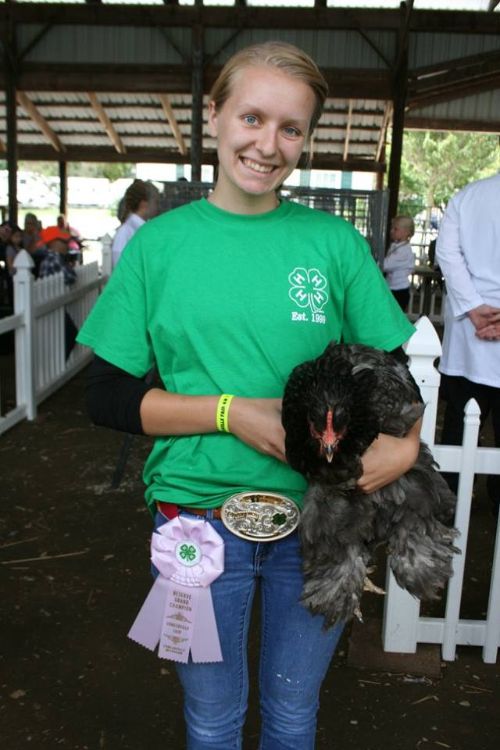 Grace Schmidt participating in the Fowlerville Family Fair in the poultry division.