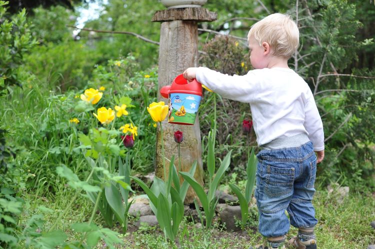 Young children can practice locomotor skills, body management skills and object control skills in the garden.