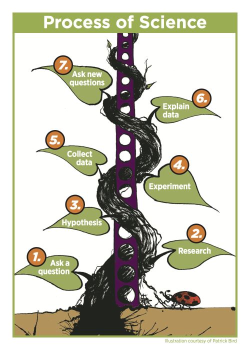Science Process Model. Illustration courtesy of Patrick Bird.