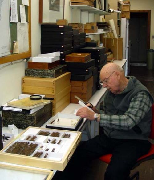 Mo Nielsen working on Ed Voss collection, 2012