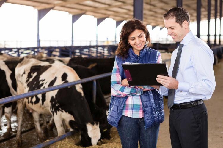 A man and woman standing in a barn and looking at paperwork
