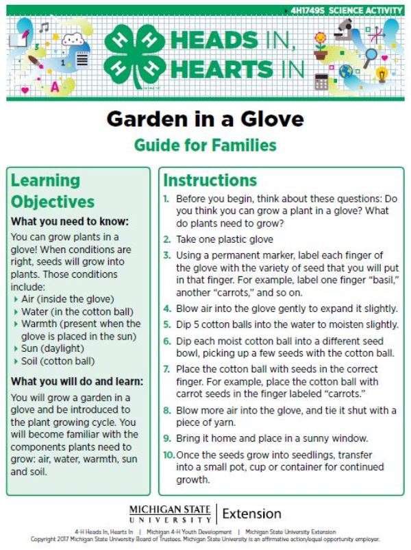 Garden in a Glove cover page.