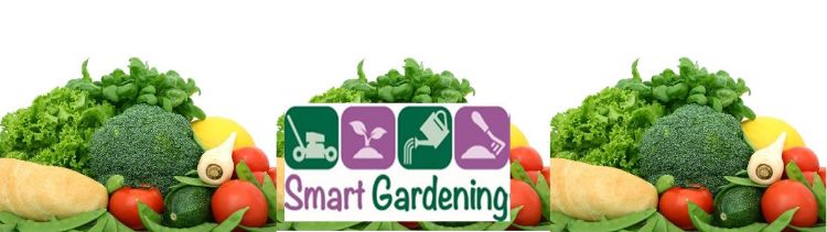 Smart Gardening Vegetables 101 banner