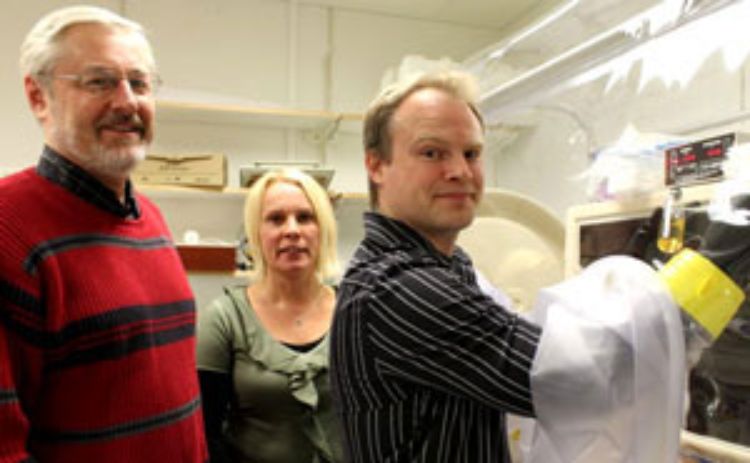(From left) Kris Berglund, Ulrika Rova and Magnus Sjöblom won a grant to scale up production of butyric acid. Photo: Leif Nyberg
