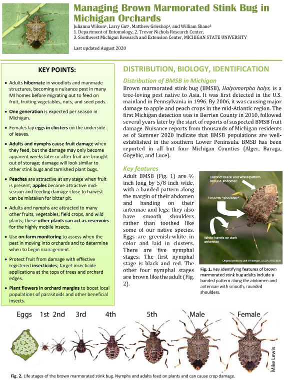 Cover of factsheet