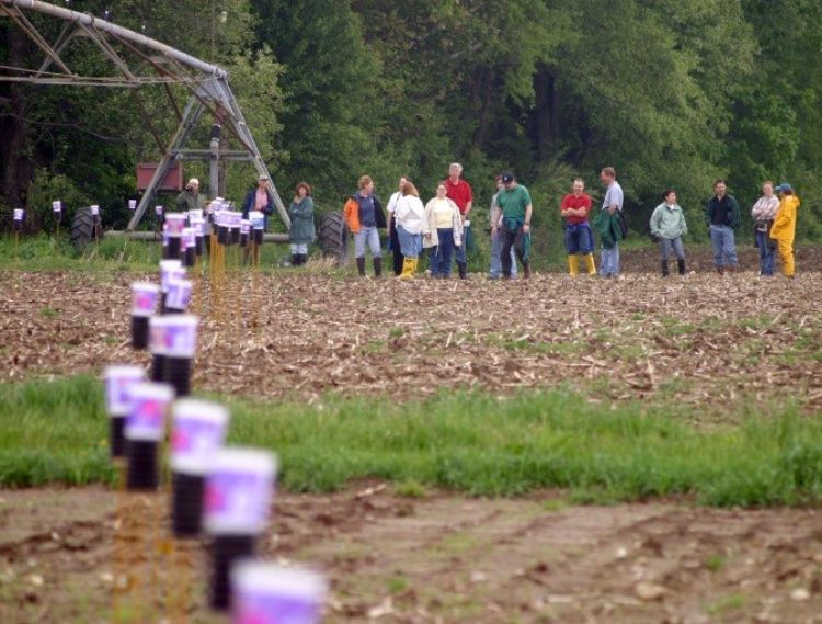 Measuring accuracy and uniformity of irrigation equipment is important to ensure all areas of the field receive adequate, but not too much, water for crop growth. Photo: Lyndon Kelley, MSU Extension.