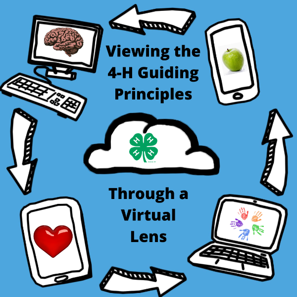 A graphic indicating the process of virtual lenses.