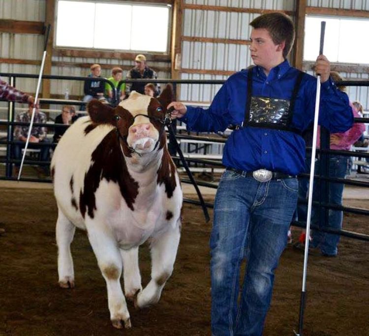 Allegan County 4-H is growing a true 4-H teen animal science leader in Miles Wixom. All photos: Robyn Wixom.