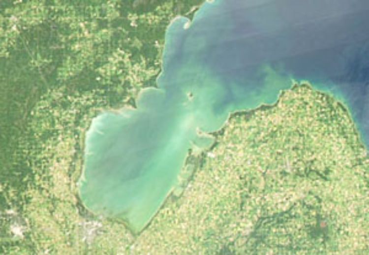 MSU researchers earned a grant from the Environmental Protection Agency to identify, manage and eliminate harmful algae blooms