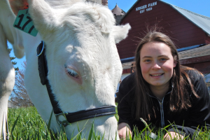 AFRE senior learns the business side of the dairy industry