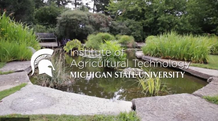 MSU's Institute of Agricultural Technology video highlighting Horticulture in this 2-year Landscape and Nursery Management certificate video