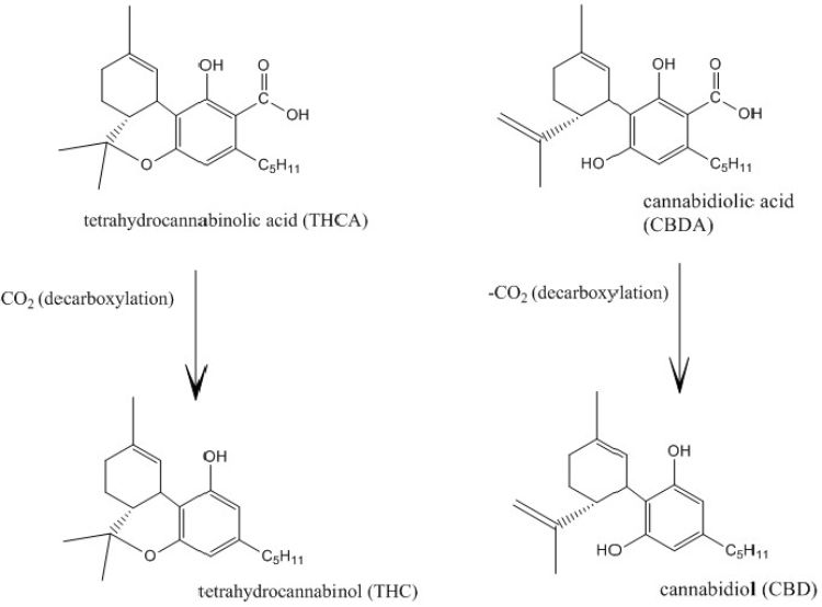Chemical structure and decarboxylation of THC and CBD