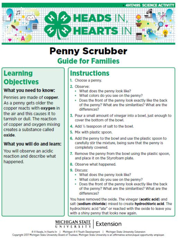 Penny Scrubber cover page.