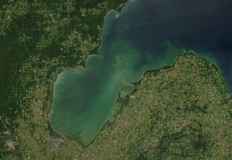satellite view of Saginaw Bay