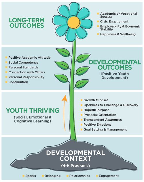 A flower growing out the ground as a graph. The bottom, the soil, is the developmental context (4-H programs with sparks, belonging, relationships and engagement). The stem is youth thriving (social, emotional and cognitive learning with growth mindset, openness to challenge and discovery, hopeful purpose, prosocial orientation, transcendent awareness, positive emotions and goal setting and management). The leaves are developmental outcomes or positive youth development with positive academic attitude, social competence, personal standards, connection with others, personal responsibility and contribution. The top, the flower, are long-term outcomes with academic and vocational success, civic engagement, employability and economic stability and happiness and wellbeing.