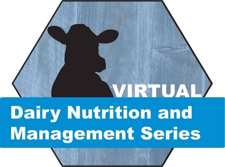 Virtual Dairy Nutrition and Management Series logo