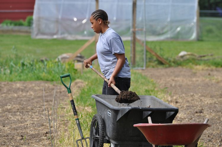 Summer jobs are a great way to teach youth valuable life skills. Photo credit: ANR Communications | MSU Extension