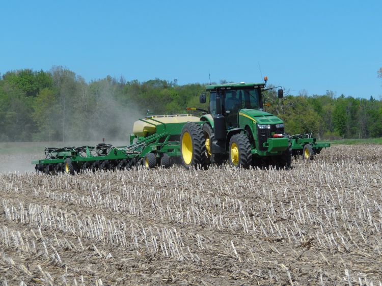 Planting soybeans in field