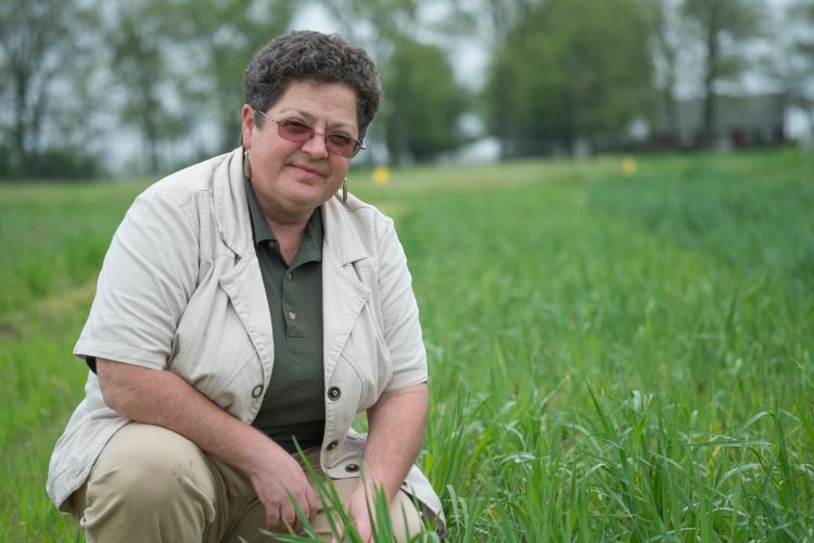 MSU AgBioResearch's Sieg Snapp poses in a field at the W.K. Kellogg Biological Station in Hickory Corners, Mich.