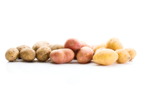 Climate change: Preparing for potato production in the year 2050