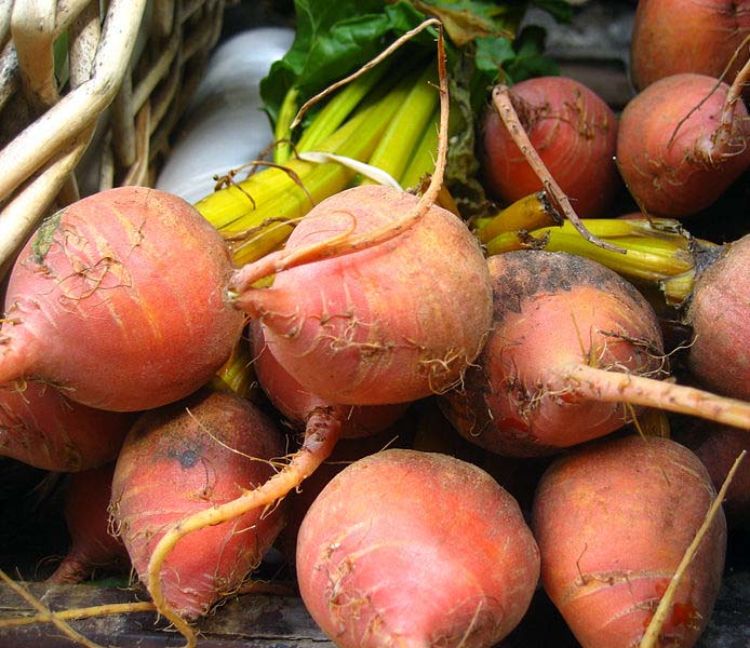 Beets. Photo credit: Jeremy Keith, Wikimedia Commons