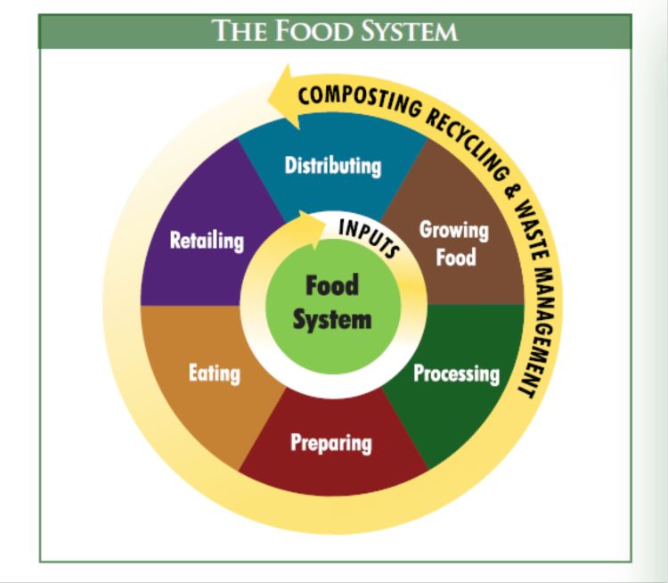 The Michigan Good Food Charter Good Food System Model